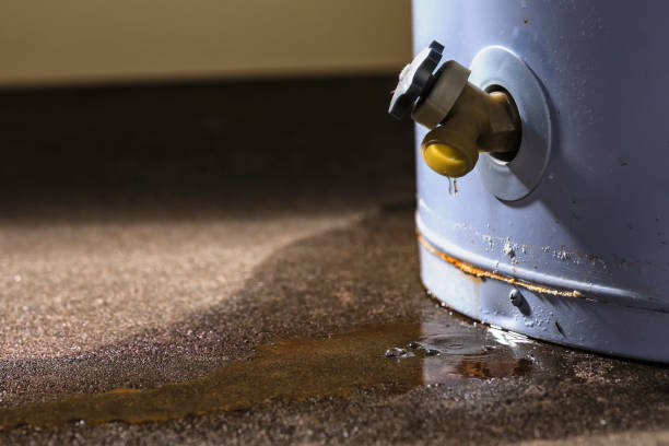 Water damage restoration insurance claims in Mescal, AZ