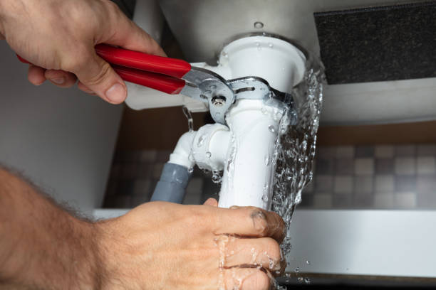 Best Basement water damage restoration  in Mescal, AZ