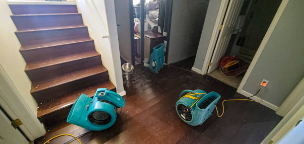Best Fire Damage Restoration  in Mescal, AZ