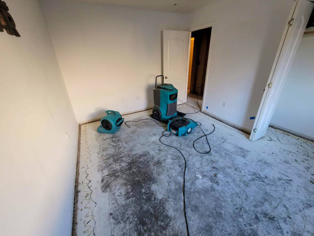 Best Ceiling water damage repair  in Mescal, AZ