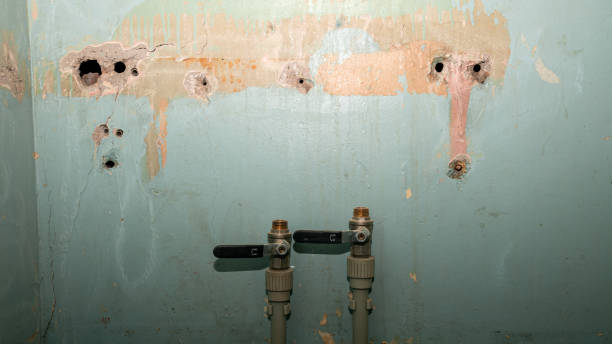 Best Local water damage restoration  in Mescal, AZ