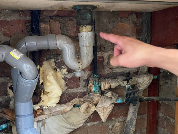 Best Sewage cleanup and water damage restoration  in Mescal, AZ