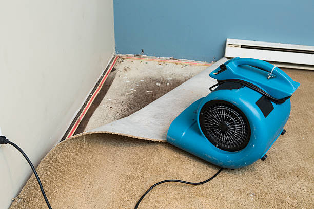 Professional Water damage restoration in Mescal, AZ